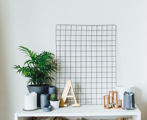 PALMA AREKA (ARECA) 40 cm na Arena.pl