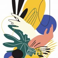 product-compare-59427448