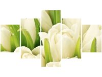 75CM 120 OBRAZ 5 ELEM DELIKATNE TULIPANY ŚCIENNY DRUK