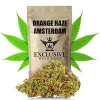 Susz konopny Orange Haze CBD SUPER AMSTERDAM Exclusive Weed 10g