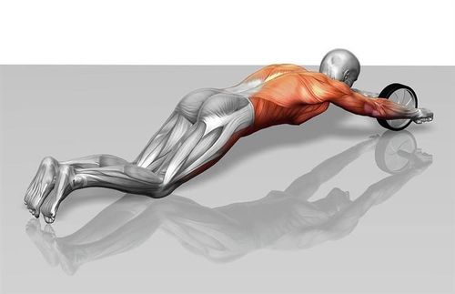 Koło - wałek do ćwiczeń K4567 na Arena.pl