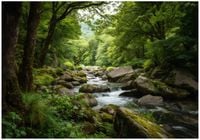 Fototapeta Na Flizelinie Do Sypialni Salonu Las 300x210