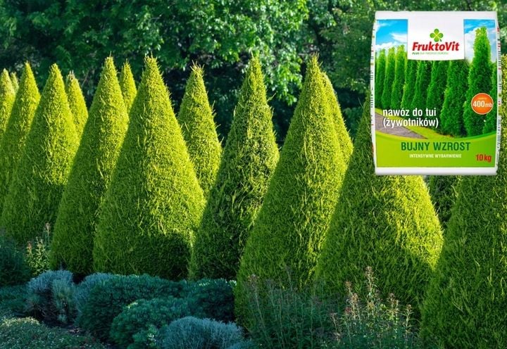 FRUKTOVIT PLUS NAWÓZ DO ŻYWOTNIKÓW TUI THUI BUJNY WZROST WYBARWIENIE 10KG zdjęcie 5