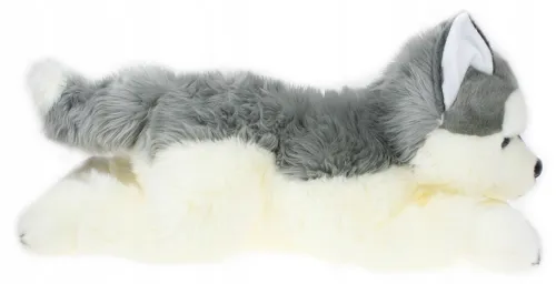 Maskotka piesek 60 cm Dubi 2 lata + na Arena.pl