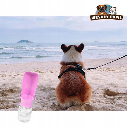 BIDON dla Psa na wodę z miską SKŁADANY 2w1 turystyczna BUTELKA na lato na Arena.pl