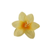 Lilijka wyrobowa słoneczny 24szt