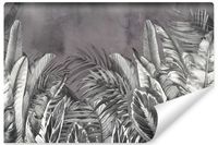 Fototapeta Ścienna LIŚCIE Palmy Bananowiec Natura Beton 360cm x 240cm