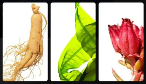 PODKŁAD PUDER W KREMIE DO TWARZY PROFESJONALNY na Arena.pl