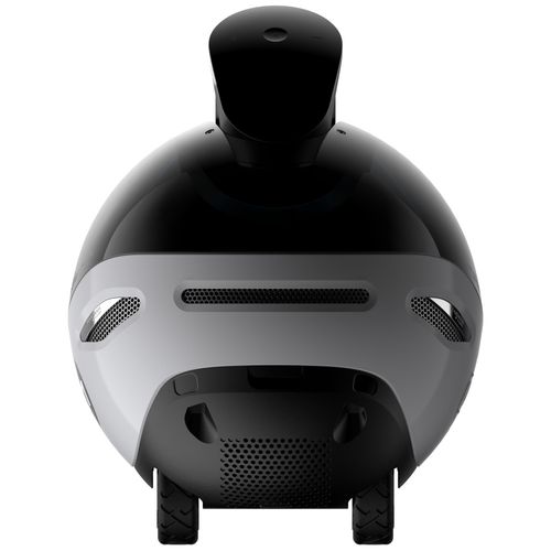 inteligentny robot towarzyszący enabot   ebo x na Arena.pl