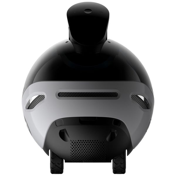 inteligentny robot towarzyszący enabot   ebo x zdjęcie 5