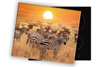 SZKLANA DESKA NA KUCHENKĘ 80x52 064B SAFARI