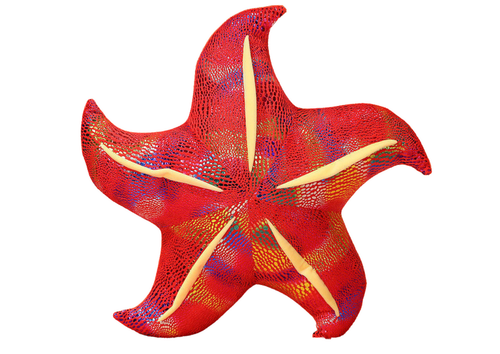 MASKOTKA PLUSZOWA  PODUSZKA  ROZGWIAZDA CZERWONA na Arena.pl