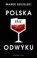 Polska na odwyku - 12 szczerych rozmów o piekle, z którego można wrócić