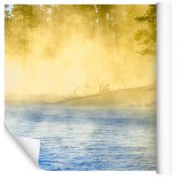 Fototapeta Las we Mgle Rzeka NATURA do Salonu 360x240