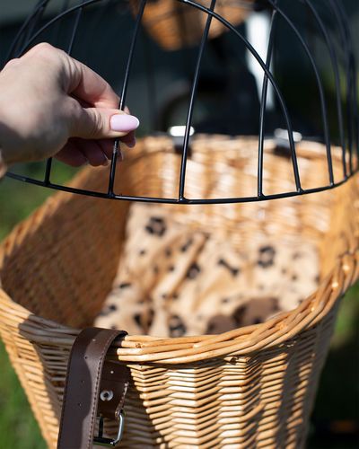 Kosz wiklinowy na rower transporter na bagażnik dla psa kota + poduszka na Arena.pl