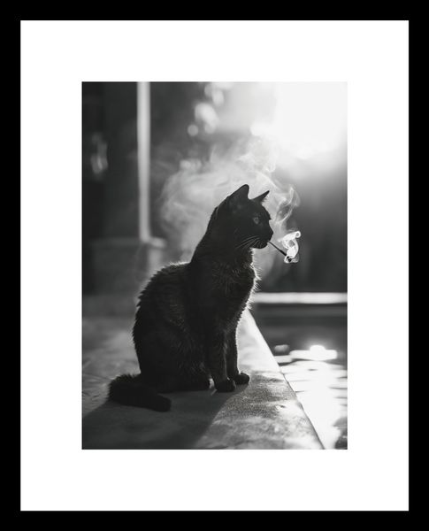 Plakat 13x18cm Kocia Przerwa zdjęcie 3