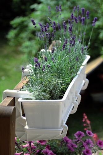 Uchwyt balkonowy HANGPLAST do doniczek Skrzynek na Arena.pl