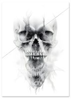 Plakat czaszka szkic 40x50 cm