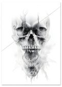 Plakat czaszka szkic 70x100 cm