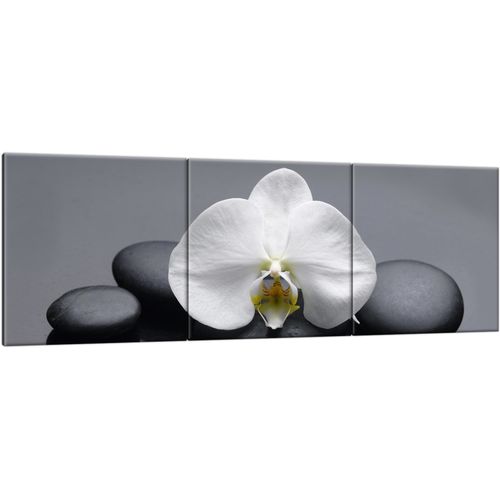 Obraz Tryptyk 150X50 Biały Storczyk na Arena.pl