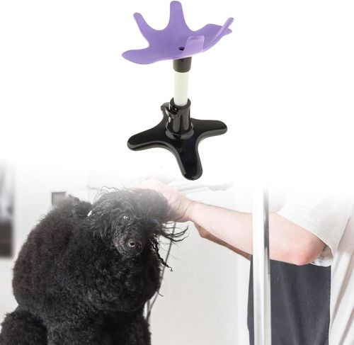 UŻYWANE Stół do pielęgnacji psów perfk do groomingu małych i średnich psów na Arena.pl