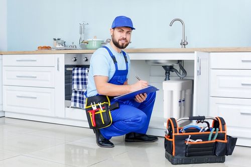 Zestaw wkładów K5, K2, do RO-101S Morion na Arena.pl