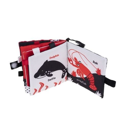 Ocean sensory na Arena.pl