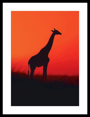Plakat 25x35cm Żyrafa w Czerni na Arena.pl