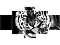 80CM 150CM OBRAZ 5 ELEM TYGRYSY ŚCIENNY