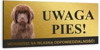 Tabliczka ZŁY PIES NOWOFUNDLAND aluminiowa DIBOND
