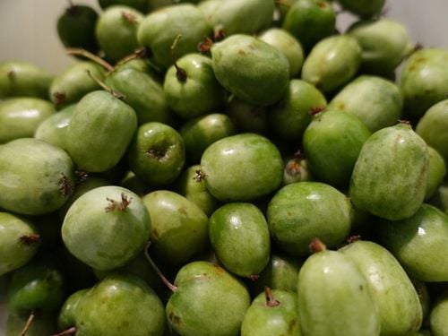 Actinidia ISSAI mini KIWI SAMOPYLNA doniczka WIT C sadzonka DONICZKA na Arena.pl