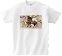 Koszulka T-shirt Konie