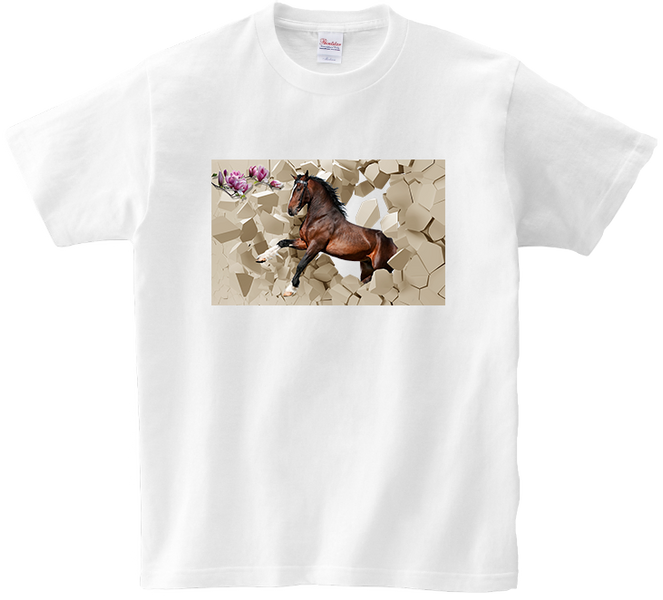 Koszulka T-shirt Konie zdjęcie 1