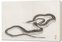 Obraz 100x70cm Snake, Kōno Bairei