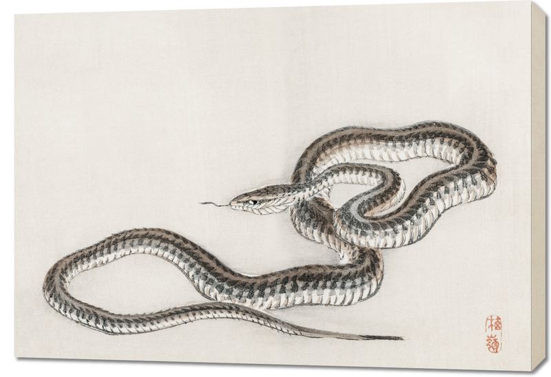 Obraz 100x70cm Snake, Kōno Bairei zdjęcie 1