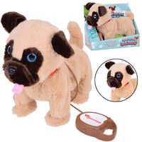 PLUSZOWY PIESEK CHODZI SZCZEKA