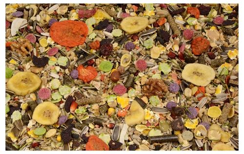 5kg Exclusive karma dla gryzoni królików świnki Premium na Arena.pl