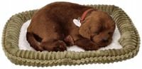 Perfect Petzzz Labrador Oddychający Śpiący piesek