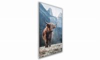 product-compare-60742331