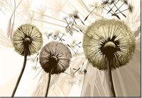 product-compare-58711972