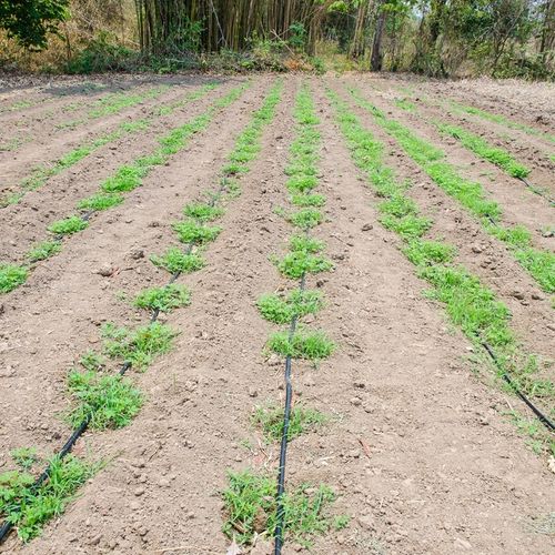 LINIA KROPLUJĄCA z kompensacją NAWADNIANIE KROPELKOWE 100m +192 EL.WĄŻ na Arena.pl