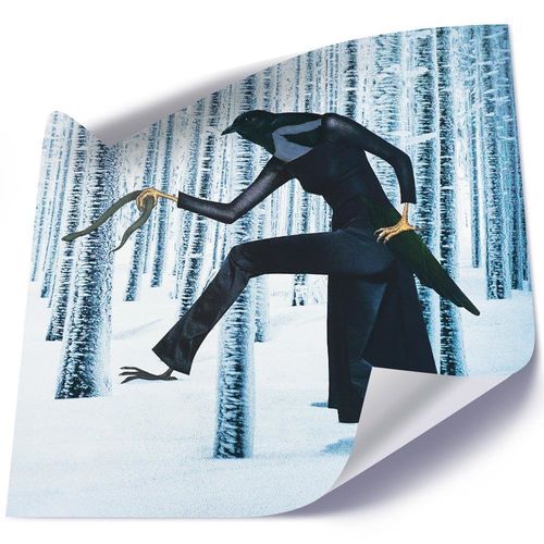 Plakat, Kobieta kruk 40x40 na Arena.pl