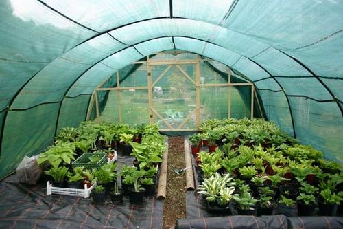 SIATKA CIENIUJĄCA 1,5x25m 62% MATA OSŁONA PŁOT OGRODZENIE OPASKI UV ZIELONA na Arena.pl