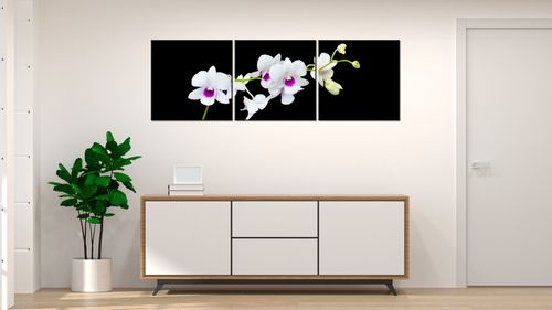 Obraz Płótno 150X50 Gałązka Storczyka na Arena.pl
