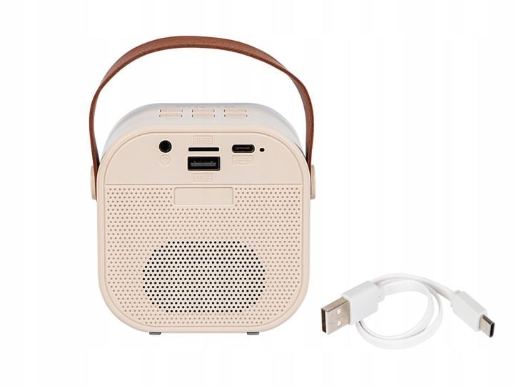 GŁOŚNIK BLUETOOTH PRZENOŚNY KARAOKE RGB 2 MIKROFONY USB SD MINI JACK zdjęcie 2