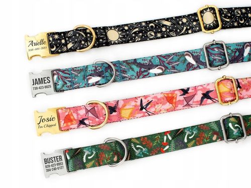 Obroża dla psa z klamrą Space rozmiar M na Arena.pl