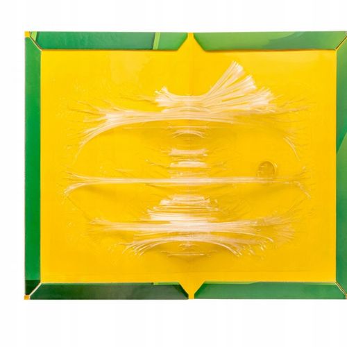 LEP NA MYSZY SILNA PUŁAPKA NA SZCZURY GRYZONIE MYSZOŁAPKA KLEJ ŁAPKA na Arena.pl