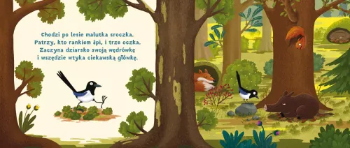 Rok W Lesie. Zasypianka na Arena.pl