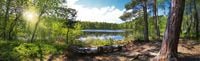 FOTOTAPETA WIDOK KRAJOBRAZ JEZIORO DRZEWA LAS