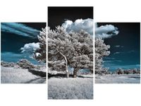 90X60CM OBRAZ SILNE DRZEWA TRZY OBRAZY